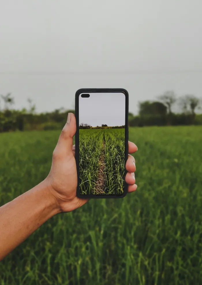 Monitoreo satelital de cultivos agrícolas con tecnología NDVI