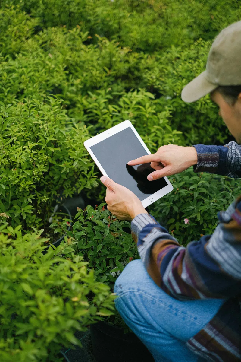 Agricultor reflexionando sobre la variabilidad de su terreno agrícola