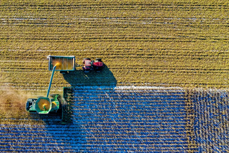 Vista aérea de un campo agrícola que muestra la variabilidad del cultivo