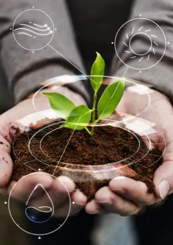 Tecnología de agricultura inteligente monitoreando la salud de las plantas